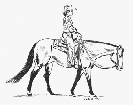 Kovboj na koni